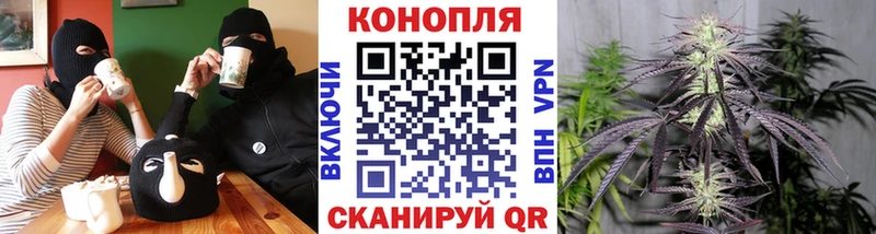 Бошки Шишки MAZAR  Сольцы 